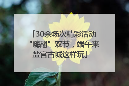 30余场次精彩活动“嗨翻”双节，端午来盐官古城这样玩