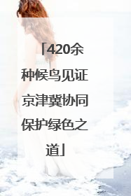 420余种候鸟见证京津冀协同保护绿色之道