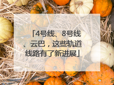 4号线、8号线、云巴，这些轨道线路有了新进展
