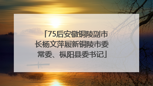 75后安徽铜陵副市长杨文萍履新铜陵市委常委、枞阳县委书记