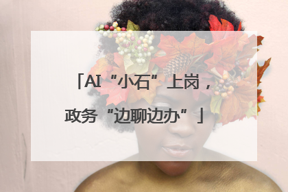 AI“小石”上岗，政务“边聊边办”