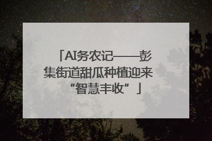 AI务农记——彭集街道甜瓜种植迎来“智慧丰收”