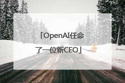 OpenAI任命了一位新CEO